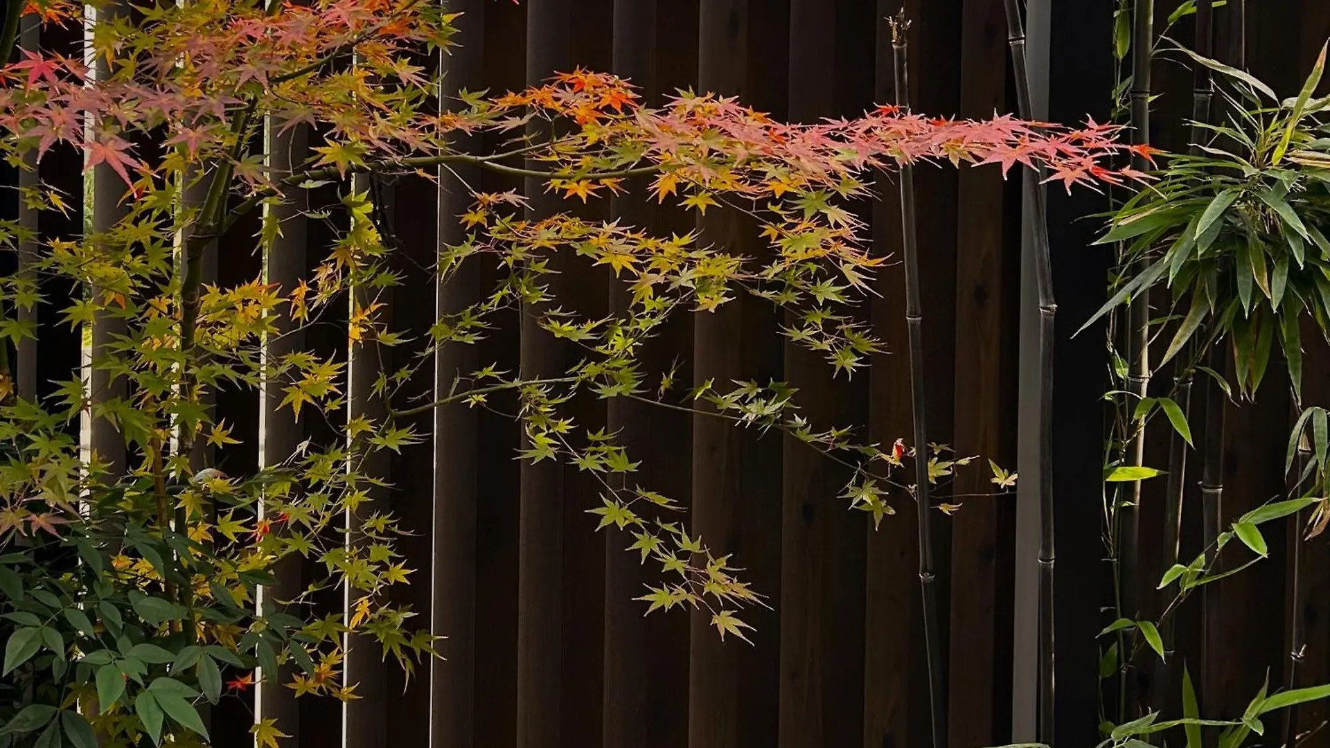 Guest House Oumi Kyoto Japan