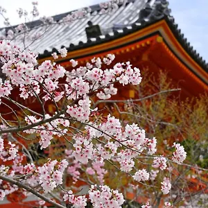 Aparthotel Sakura Gion North